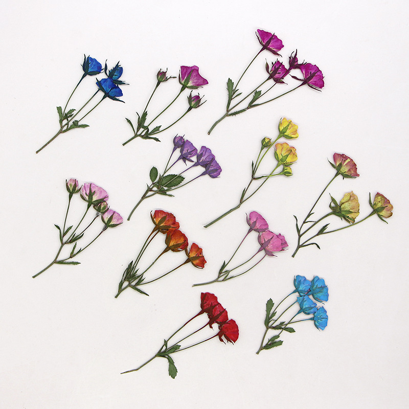 36X прессованный высушенный, р – обзор и цена Dried Flower Bookmark