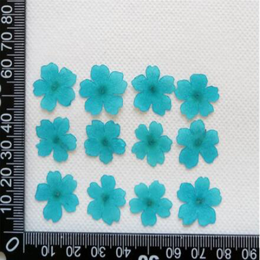 60 шт. в 1-2 см из-прессованны – обзор и цена Dried Flower Bookmark