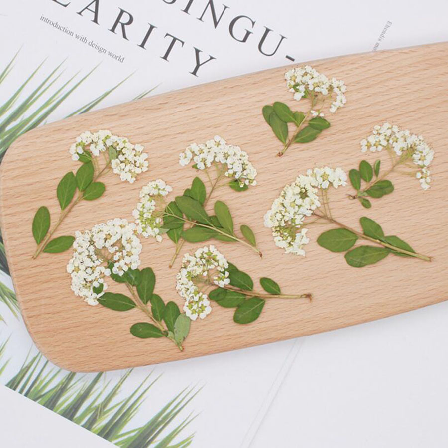 60X Сушеные прессованные натур – обзор и цена Dried Flower Bookmark