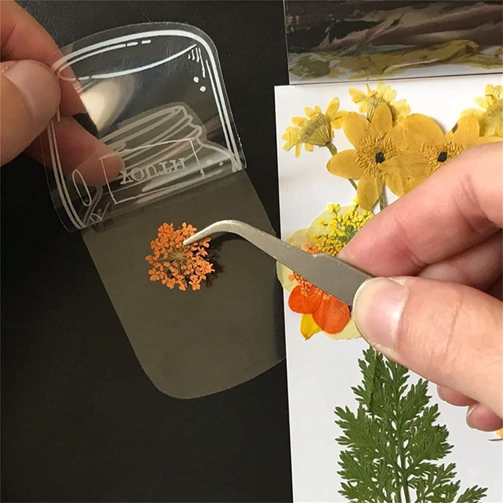 Прозрачные засушенные Цветочны – обзор и цена Dried Flower Bookmark